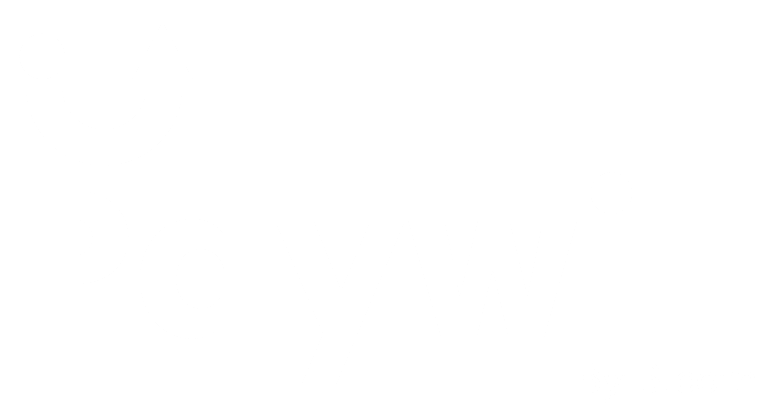 Logo PAYWILL